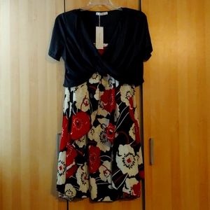 1X Rosegal Dress
